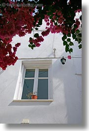 images/Europe/Greece/Naxos/DoorsWins/red-bougainvillea-n-window-1.jpg