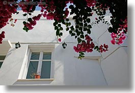 images/Europe/Greece/Naxos/DoorsWins/red-bougainvillea-n-window-2.jpg