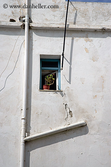 tiny-window-w-plant-n-white-pipes.jpg