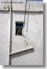 images/Europe/Greece/Naxos/DoorsWins/tiny-window-w-plant-n-white-pipes.jpg