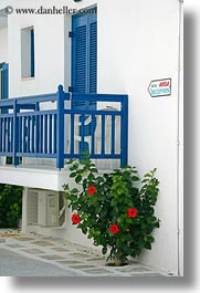 images/Europe/Greece/Naxos/Flowers/green-plant-n-blue-door.jpg