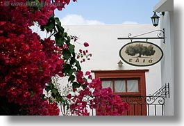 images/Europe/Greece/Naxos/Flowers/red-bougainvillea-n-sign.jpg
