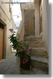 images/Europe/Greece/Naxos/Stairs/pink-geraniums-on-stairs.jpg