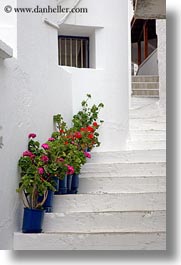 images/Europe/Greece/Naxos/Stairs/potted-flowers-on-stairs.jpg