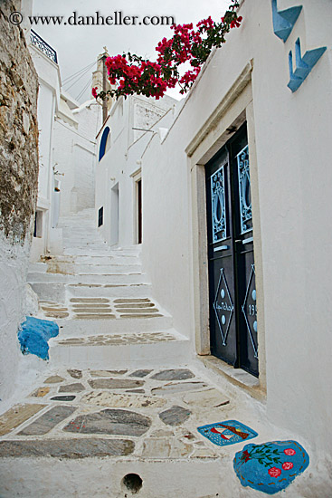 white_wash-alley-n-flowers.jpg