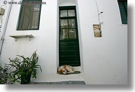 images/Europe/Greece/Tinos/DoorsWindows/green-door-n-dog-on-step.jpg