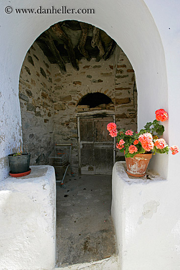 geraniums-n-old-ruin.jpg