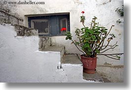images/Europe/Greece/Tinos/Flowers/red-geraniums-on-stairs.jpg