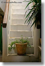images/Europe/Greece/Tinos/HotelVoreades/potted-plant-on-stairs.jpg