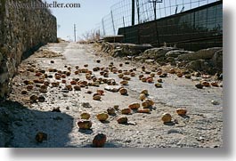 images/Europe/Greece/Tinos/Misc/prickly-pears-on-road.jpg