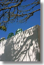images/Europe/Greece/Tinos/Misc/tree-branches-n-shadows.jpg