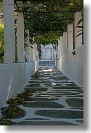 images/Europe/Greece/Tinos/Misc/vine-covered-path-to-door.jpg