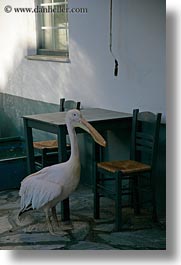 images/Europe/Greece/Tinos/Misc/white-pelican.jpg