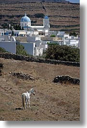blues, churches, domed, europe, greece, horses, scenics, tinos, vertical, white, photograph