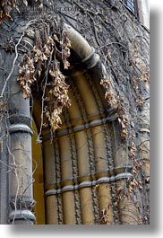 images/Europe/Hungary/Budapest/Buildings/Synagogue/Exterior/arch-n-dead-ivy-leaves-3.jpg