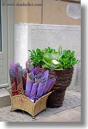 images/Europe/Hungary/Budapest/Misc/rolled-up-lavender.jpg