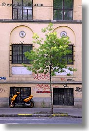 images/Europe/Hungary/Budapest/Transportation/tree-n-motorcycle.jpg