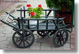 images/Europe/Hungary/Tarcal/Art/geraniums-on-small-cart.jpg