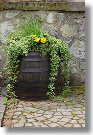 images/Europe/Hungary/Tarcal/Flowers/flowers-in-barrel-1.jpg