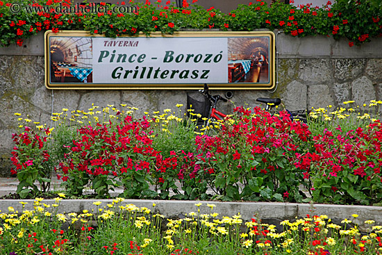 flowers-n-tavern-sign.jpg