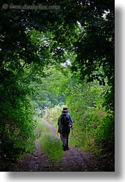 images/Europe/Hungary/TokajHills/Hikers/hiking-thru-trees-2.jpg
