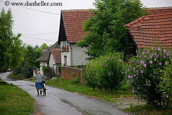 woman-pushing-bike-by-houses.jpg