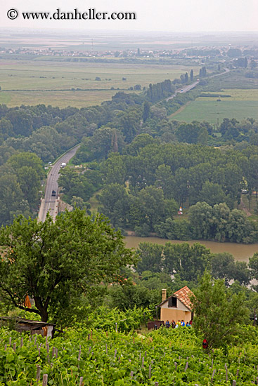 vineyard-n-river-overlook-3.jpg