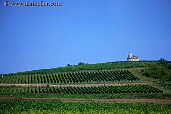 church-n-vineyard-2.jpg