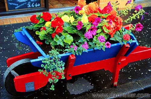 wheel-barrow.jpg