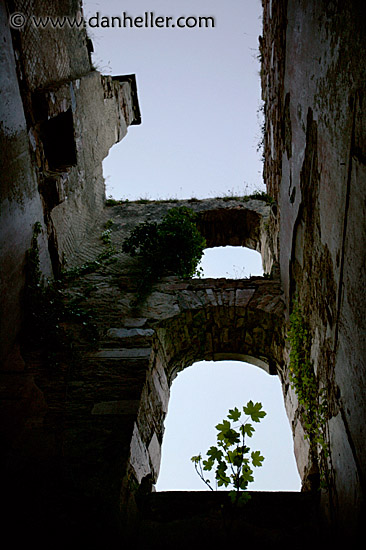 clifden-castle-14.jpg