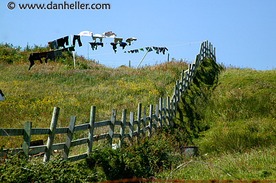 laundry-fence.jpg