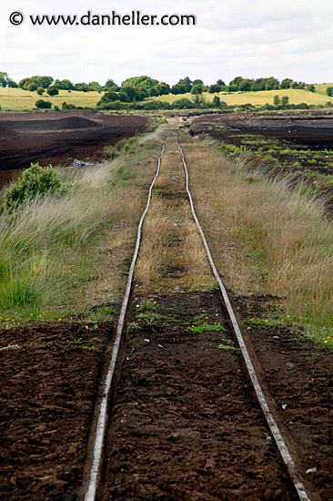 bog-train-tracks-1.jpg