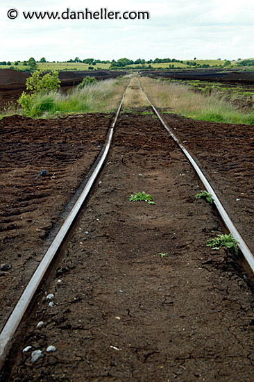 bog-train-tracks-2.jpg