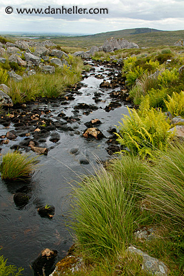 connemara-creek.jpg