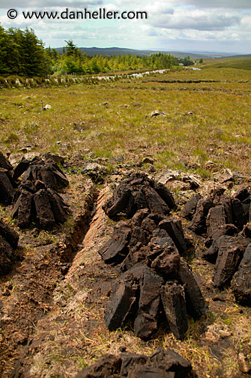 peat-2.jpg