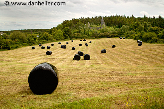 wrapped-haybales.jpg