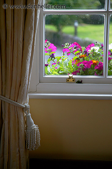 curtain-flowers.jpg