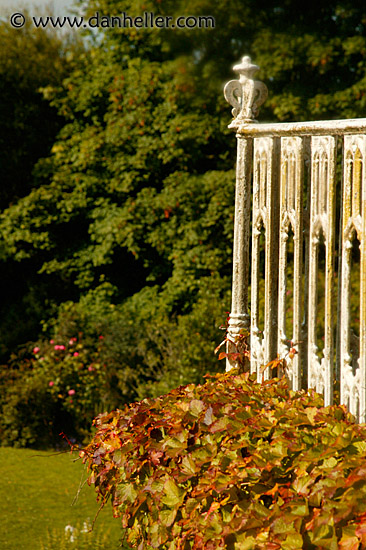 balcony-leaves.jpg