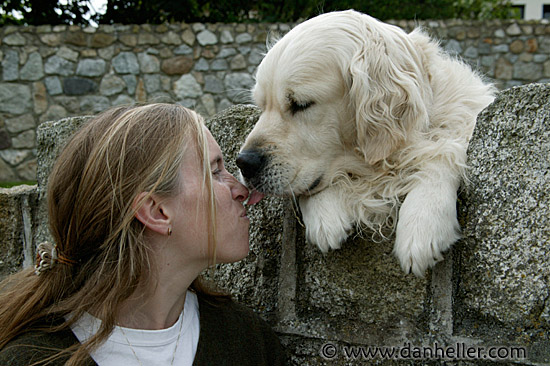 big-white-pooch-10.jpg