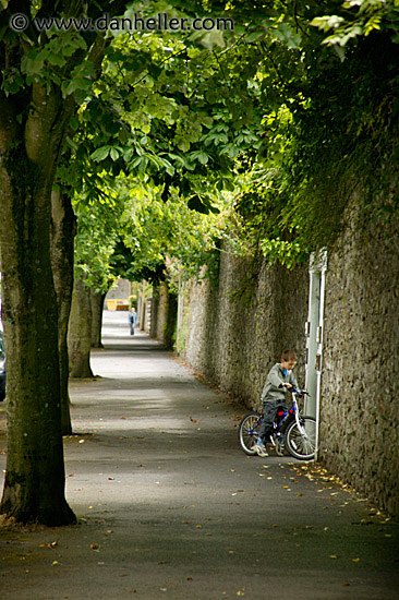 tree-sidewalk-2.jpg