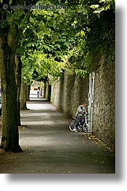 images/Europe/Ireland/Leinster/Kildare/tree-sidewalk-2.jpg