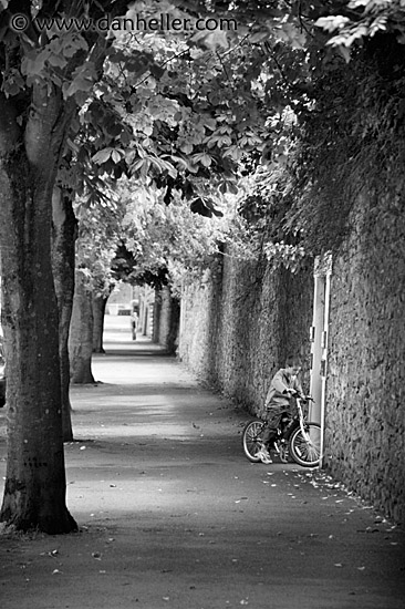 tree-sidewalk-bw.jpg