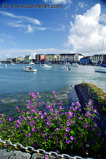 dungarvan-2.jpg