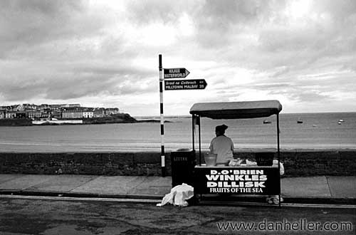 kilkee-winkles.jpg