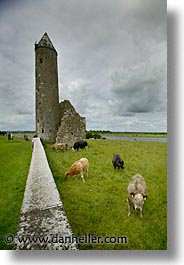 images/Europe/Ireland/Shannon/Clonmacnois/round-tower-8.jpg