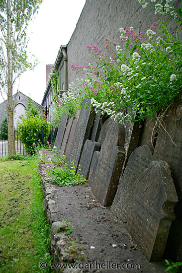 athlone-graves-08.jpg