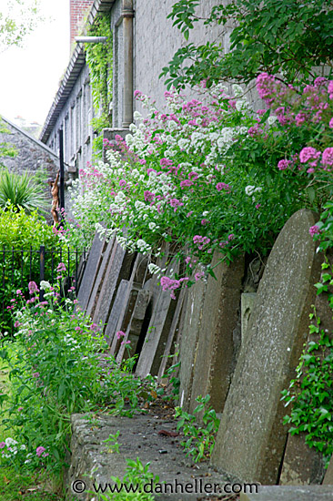 athlone-graves-11.jpg