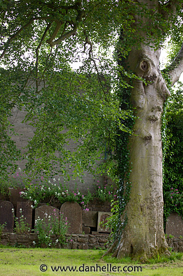 athlone-graves-14.jpg