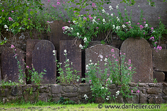 athlone-graves-15.jpg