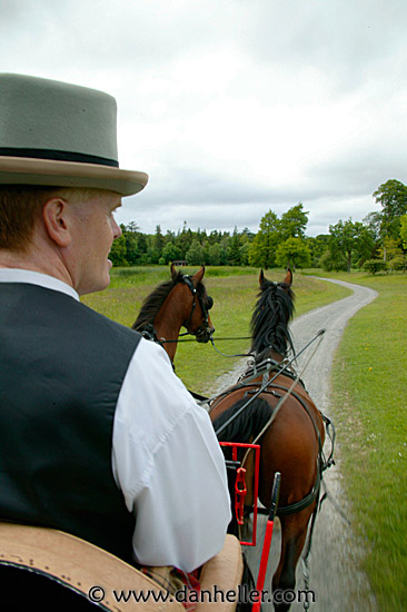 horse-buggy-1.jpg